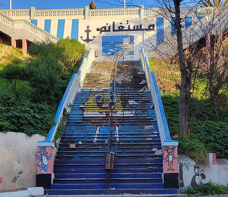 Algerian contrast. Author: Salih Akpinar